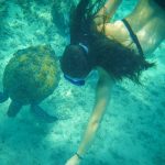 snorkeling with turtles in riviera maya, mexico