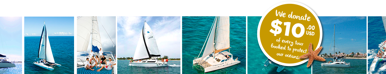 all-boats-banner-22