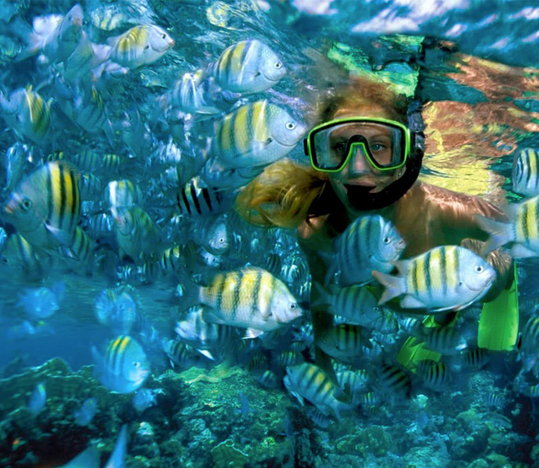 Cancun Snorkeling & Sailing: Explore Isla Mujeres