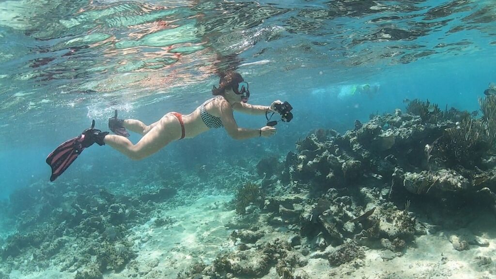 snorkel riviera maya ocea