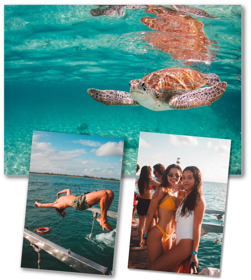 puerto morelos catamaran rentals