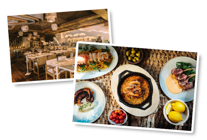 bachelorette foodie guide riviera maya