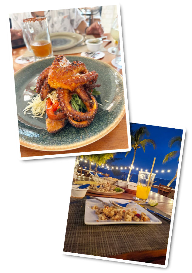 marbella beach club isla mujeres collage