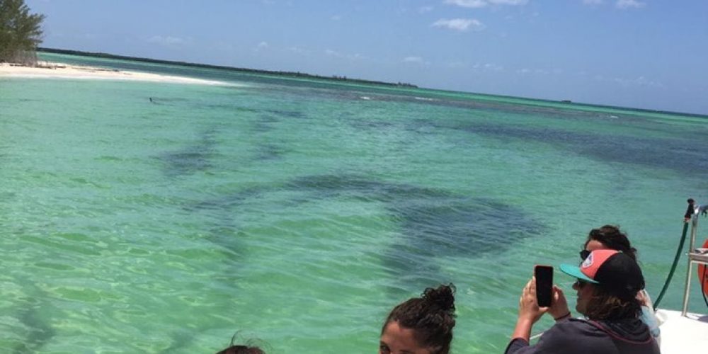 60095346_431892584269361_3765226948834361344_n