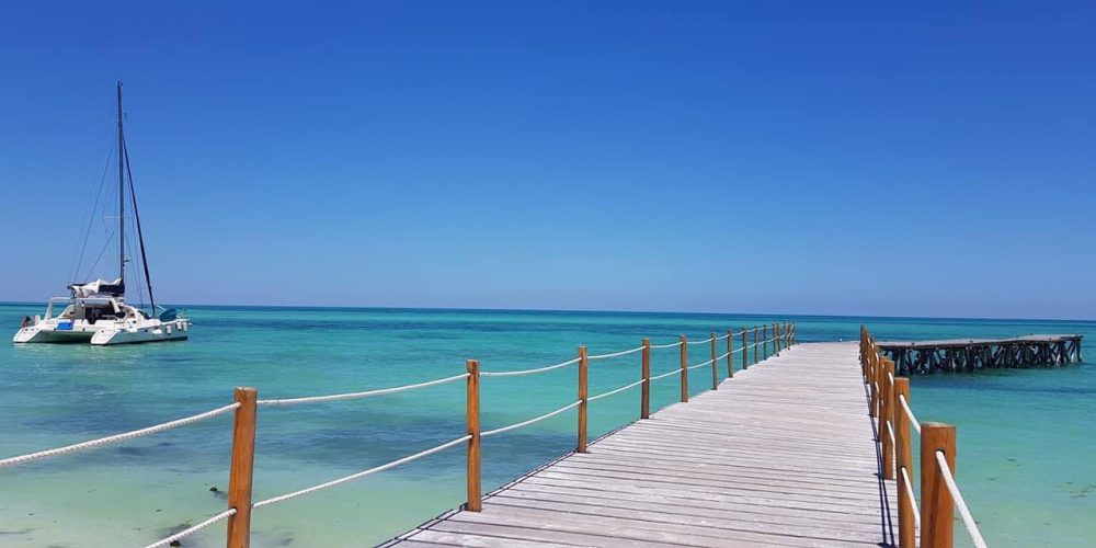 61410615_2946885098685342_4556023955235799040_n