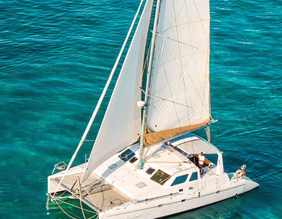 paradise catamarans