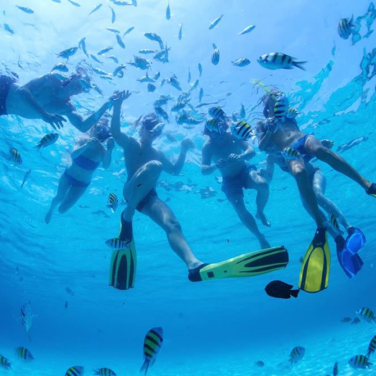 snorkeling 2 cancun isla mujeres riviera maya catamarans